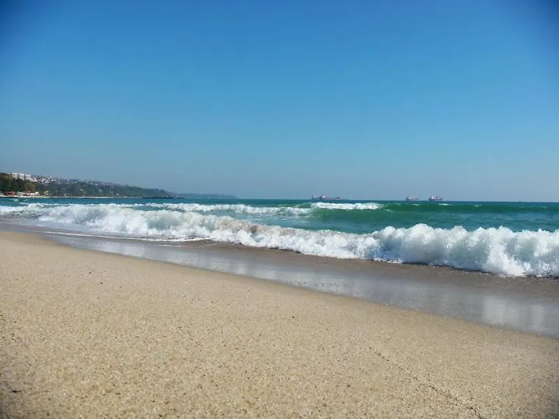 Apartment By The Sea - Central With Free Parking Varna
